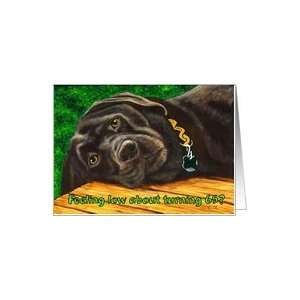  Funny Birthday ~ 65 Years Old ~ Labrador Dog Card: Toys 