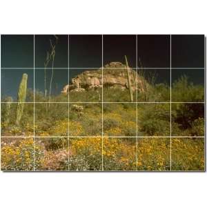  Deserts Photo Backsplash Tile Mural 20  32x48 using (24 