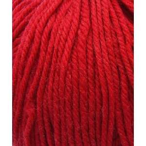    Cascade 220 Superwash #809 Really Red: Arts, Crafts & Sewing