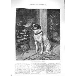  1881 Pleasures Hope Pet Dog Cooking Pot Fire Harrison