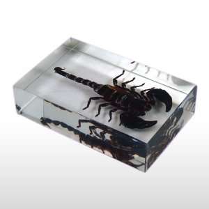  Giant Scorpion Block Toys & Games