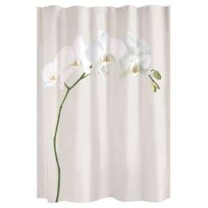  Shower Curtain Orchid