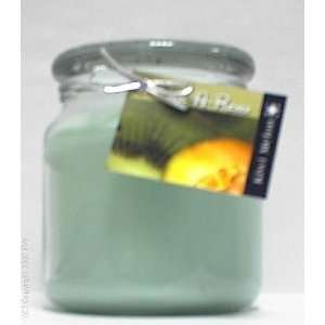  Hand Made Scented Soy 16oz Classic Jar Candle   Kiwi Melon 