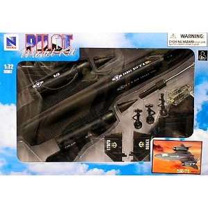  SR 71 Blackbird Pre Painted Snap Kit by New Ray Toys 