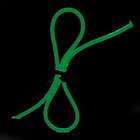 American Lighting LLC Flexbrite Neon Rope Light in Green   Length 72