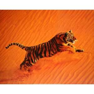  Desert Tiger Poster 16 X 20