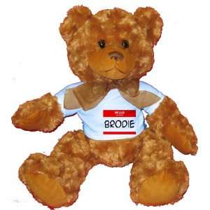  HELLO my name is BRODIE Plush Teddy Bear with BLUE T Shirt 