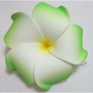   Green and White Hawaiian Plumeria Flower Hair Clip, Limited. Beauty