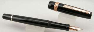   BRAND NEW Stipula Fountain pen. Here are the facts about this pen