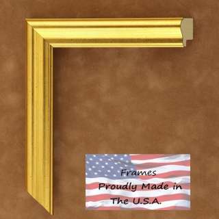   Slope Gold with Beveled Inside Edge Picture Frame New Wood Complete