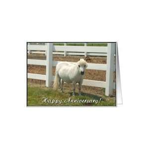  Happy Anniversary White miniature horse Card: Health 
