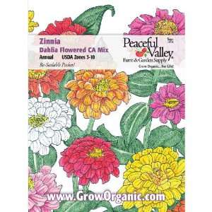  Zinnia Seed Pack, California Mix Patio, Lawn & Garden