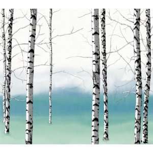  Birch Trees. White / Teal. Eco Value Murals. 96 X 108 