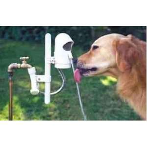   Water Dog Automatic Outdoor Pet Drinking Fountain