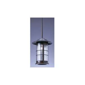    TN S Newport 1 Light Outdoor Hanging Lantern in Slate with Tan glass
