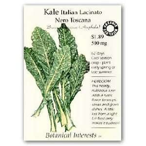  Kale Italian Nero Toscana Certified Organic Seed Patio 