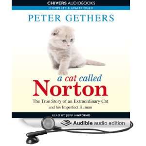  A Cat Called Norton The True Story of an Extraordinary 