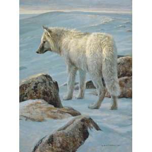  Robert Bateman   Arctic Evening   White Wolf