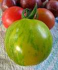 Organic Heirloom Green Zebra Tomato Seeds    Juicy and delicious