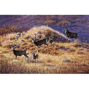  Jim Kasper   Morning Trek   Mule Deer