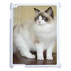 RAGDOLL KITTY CAT KITTEN APPLE IPAD 2 TABLET COMPUTER WHITE COVER CASE 
