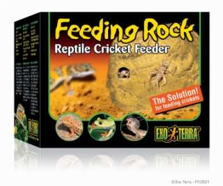 Exo Terra Reptile Terrarium Cricket Feeder Feeding Rock  