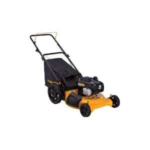   and Bag with High Wheel Push Mower, 21 Inch Patio, Lawn & Garden