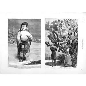  1883 LITTLE GIRL CANADA SNOWSHOES CAPE GOOD HOPE CACTUS 