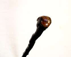   Vintage Irish Blackthorn Shillelagh Walking Stick Burled Handle  